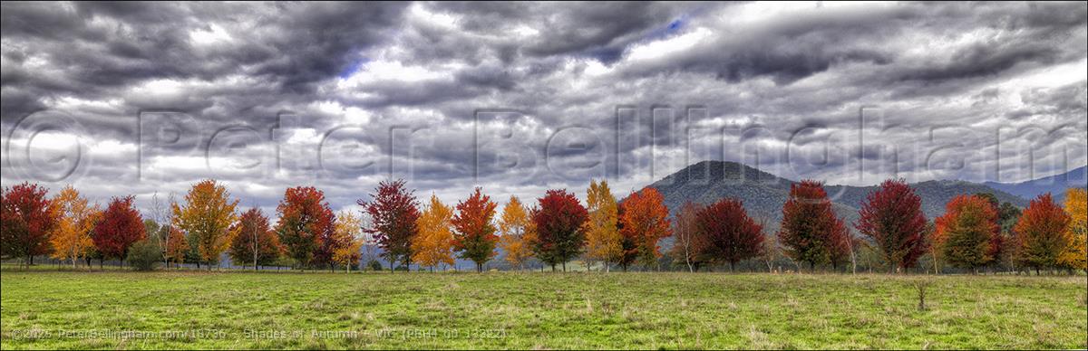 Peter Bellingham Photography Shades of Autumn - VIC (PBH4 00 13322)